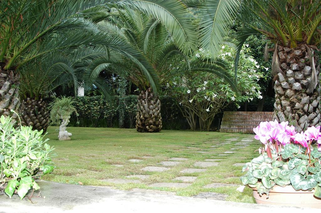 Villa Solaria Santa Venerina Rum bild