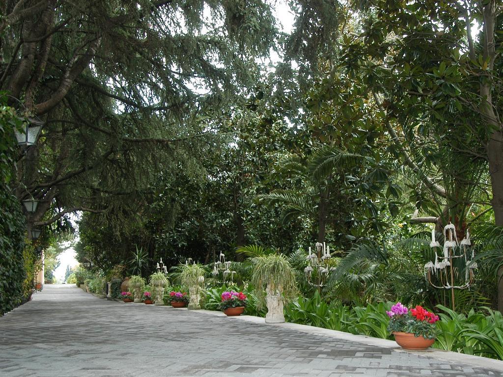 Villa Solaria Santa Venerina Rum bild